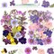 58Pcs Pressed Flowers for Craft Purple Real Natural Dried Flowers